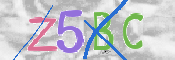 キャプチャ画像